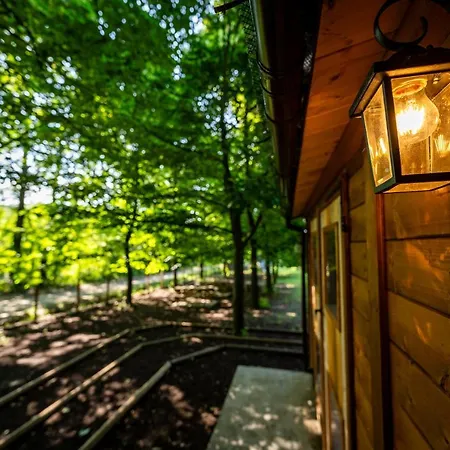 Tiny House - Gilda E I Suoi Amici